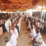 Vraj-Yatra-2014- (2546)